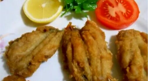 SARDINE BUTTERFLY